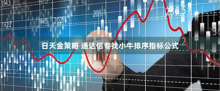 日天金策略 通达信专找小牛排序指标公式