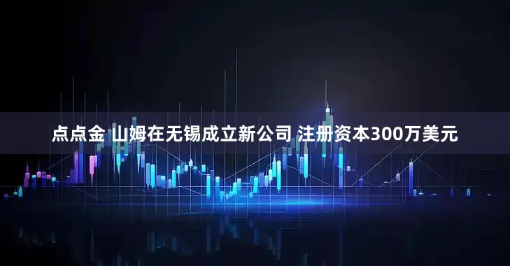 点点金 山姆在无锡成立新公司 注册资本300万美元
