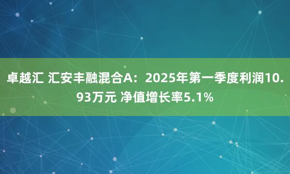 卓越汇 汇安丰融混合A：2025年第一季度利润10.93万元 净值增长率5.1%